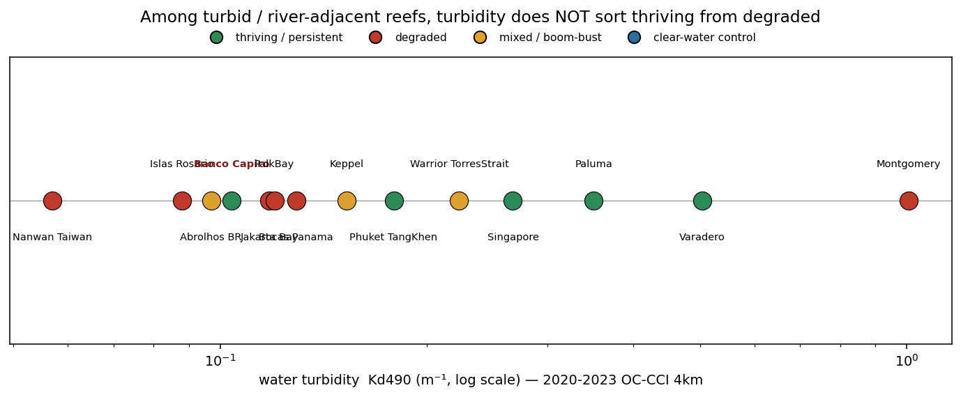 16 turbid reefs plotted by water clarity and colored by outcome; thriving and degraded reefs interleave across the whole turbidity range